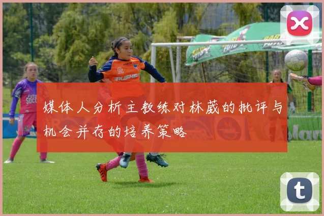 媒体人分析主教练对林葳的批评与机会并存的培养策略