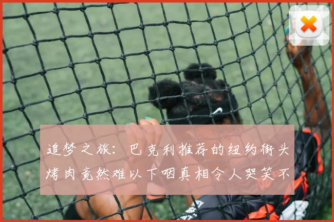 追梦之旅：巴克利推荐的纽约街头烤肉竟然难以下咽真相令人哭笑不得